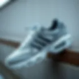 Adidas Air Max showcasing aesthetic design