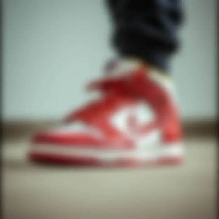 Historical evolution of Dunk shoes