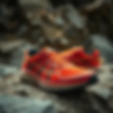 Gore-Tex running shoes displayed against a rugged backdrop