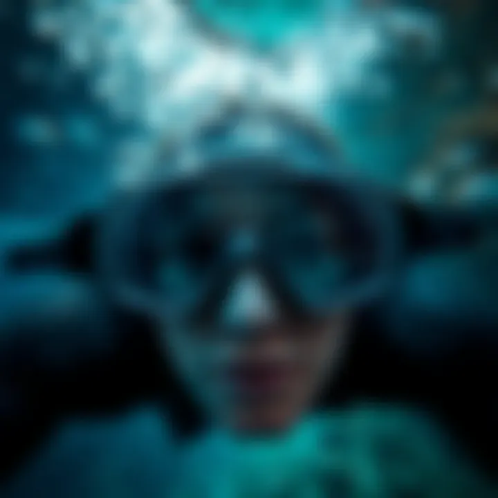 An underwater view showcasing marine life through goggles