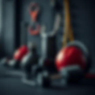 A collection of essential fitness equipment arranged aesthetically.