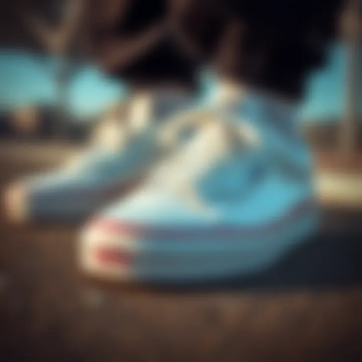 Classic Design of Vans Old School A close-up of Vans Old School shoes showcasing their classic design and iconic features