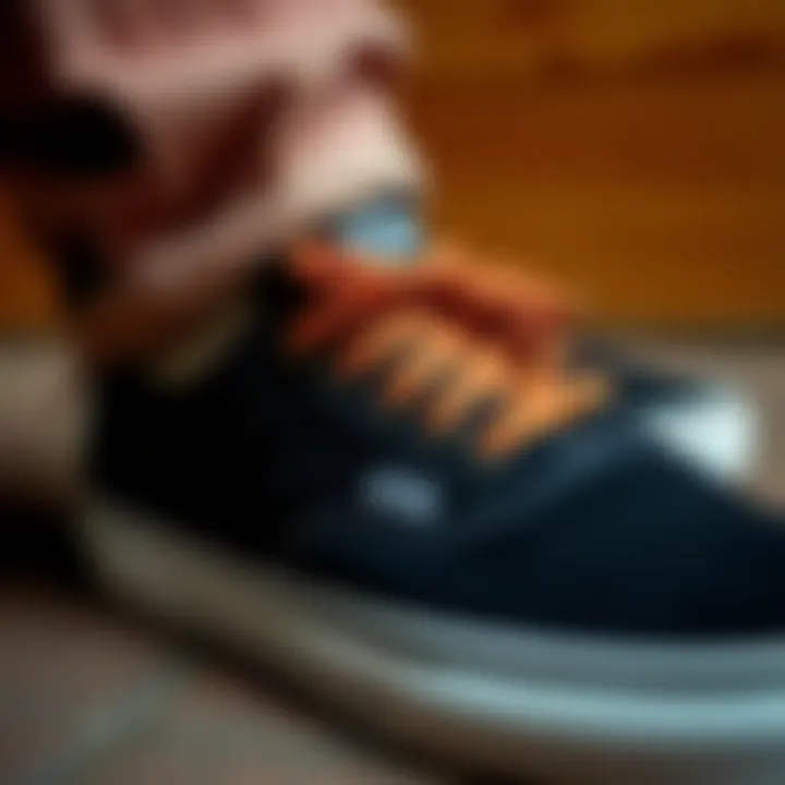 Maintenance Tips for Vans Old School A detailed guide showing the maintenance tips for keeping Vans Old School shoes in pristine condition